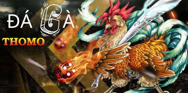 Tổng quan về 007Win Việt Nam - 007Win