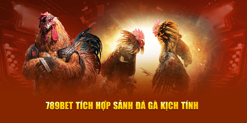 Rikvip là một hệ thống tự động nhanh hơn - Rikvip