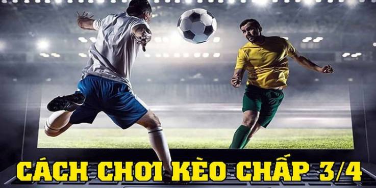 100Win bình chọn những trang web 100Win tốt nhất năm 2026 - 100Win