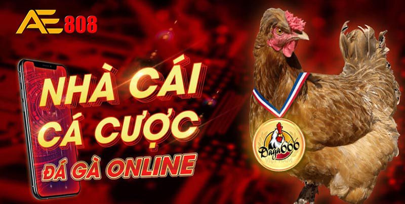 Trang web Zalv cung cấp những trò chơi máy đánh bạc trực tuyến nào? - Zalv