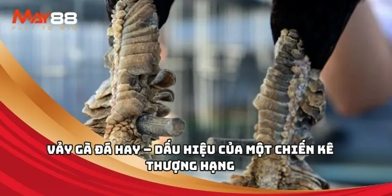 Hướng dẫn thay đổi DNS để chạy ứng dụng Hu 130Bet - 130Bet