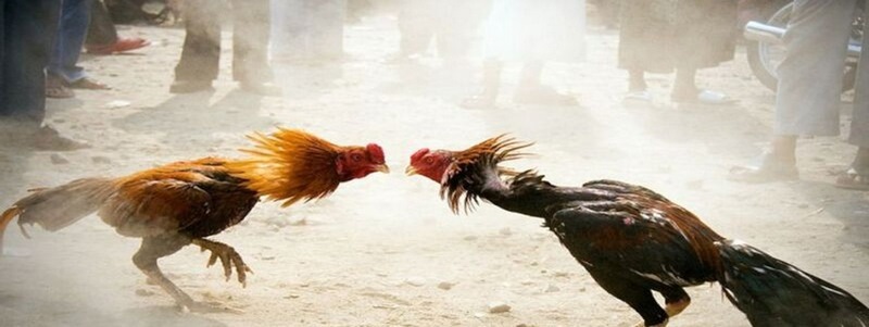 Blackjack – Một trò chơi huyền thoại trên thế giới (Onbet) - Onbet