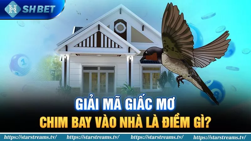 Cách chơi xổ số Betvn nhanh chóng và thành công - Betvn