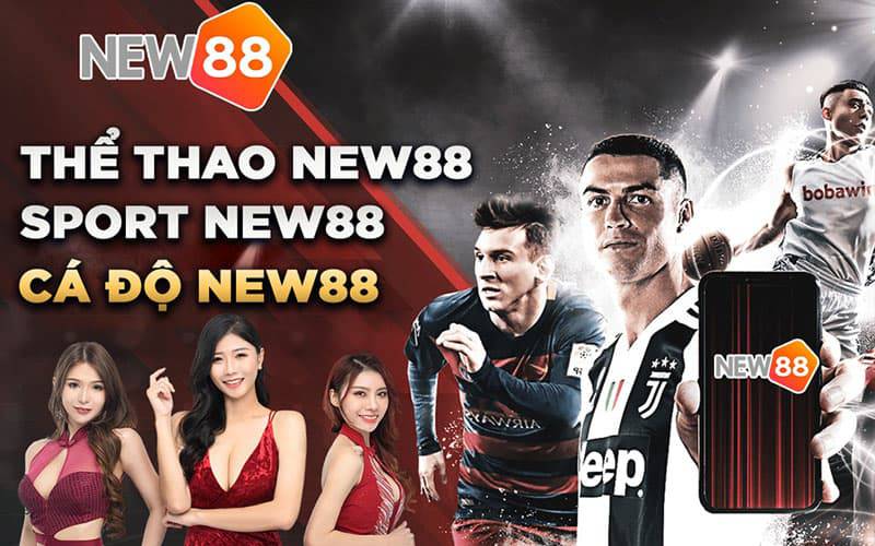 Thông tin liên hệ của trang web game We88 Max - We88