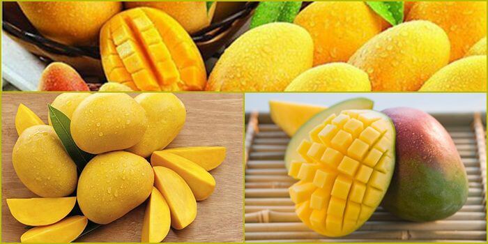 Chất lượng dịch vụ do Công ty Nbet Games cung cấp - Nbet