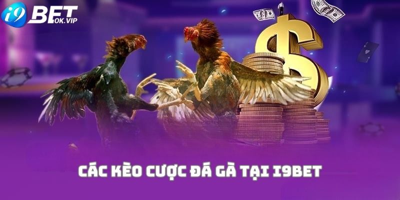 999Bet đảm bảo chất lượng của mọi sản phẩm - 999Bet
