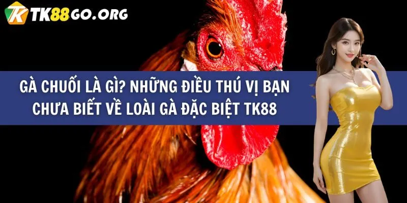 Đổi mới công nghệ Zet88: Thế hệ game tiếp theo - Zet88