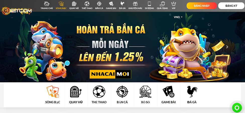 Raybet là nền tảng giải trí và chơi game tốt nhất trên thị trường - Raybet